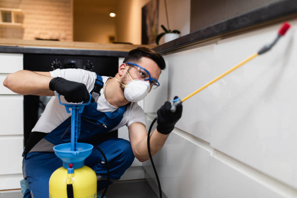 Best Ant Control Services  in East Rockingham, NC