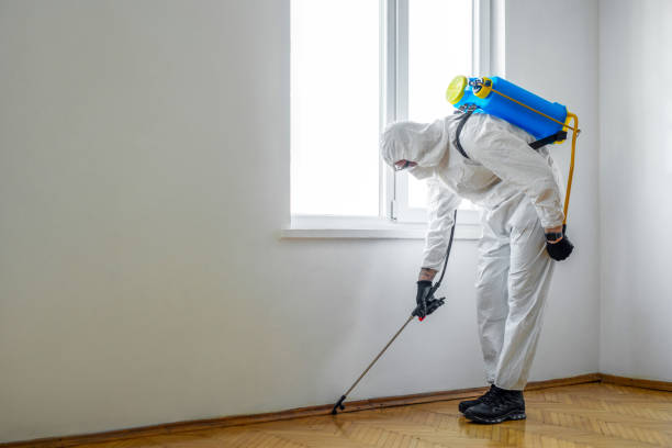 Best Bed Bug Extermination  in East Rockingham, NC