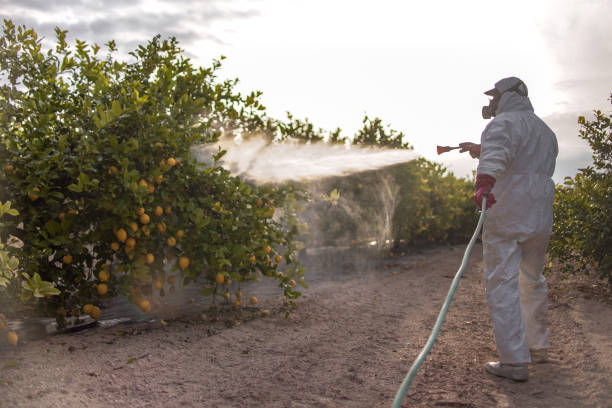 Best Cockroach Control Services  in East Rockingham, NC