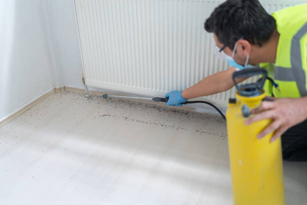 Best Residential Pest Control  in East Rockingham, NC