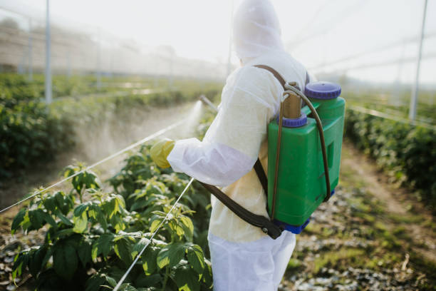 Best Rat Extermination Near Me  in East Rockingham, NC